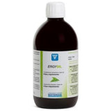 NUTERGIA ERGYSIL Solución 500 mL